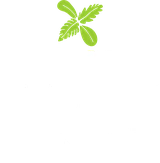 ExpoCannabis Brasil