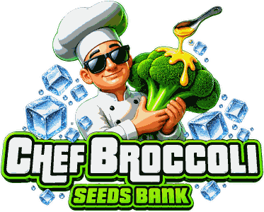 Logo Chef Broccoli