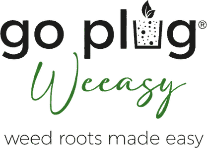 Logo Go Plug Easy