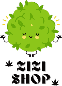 Logo ZiziShop