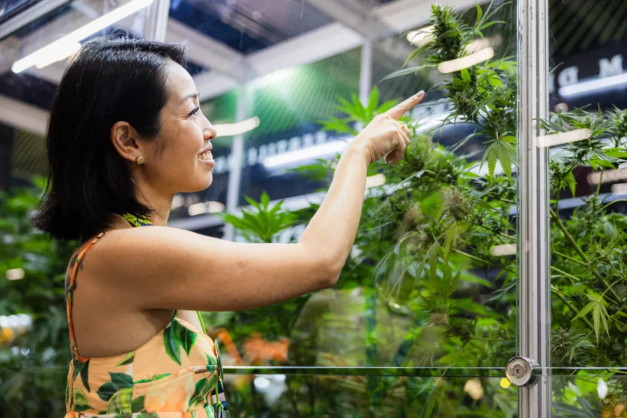 ExpoCannabis Brasil 2025, dia 1
