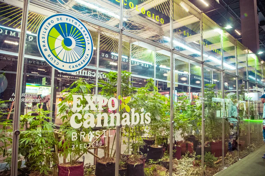 Estufa de cultivo montada na feira